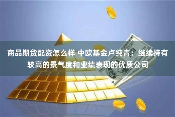 商品期货配资怎么样 中欧基金卢纯青：继续持有较高的景气度和业绩表现的优质公司